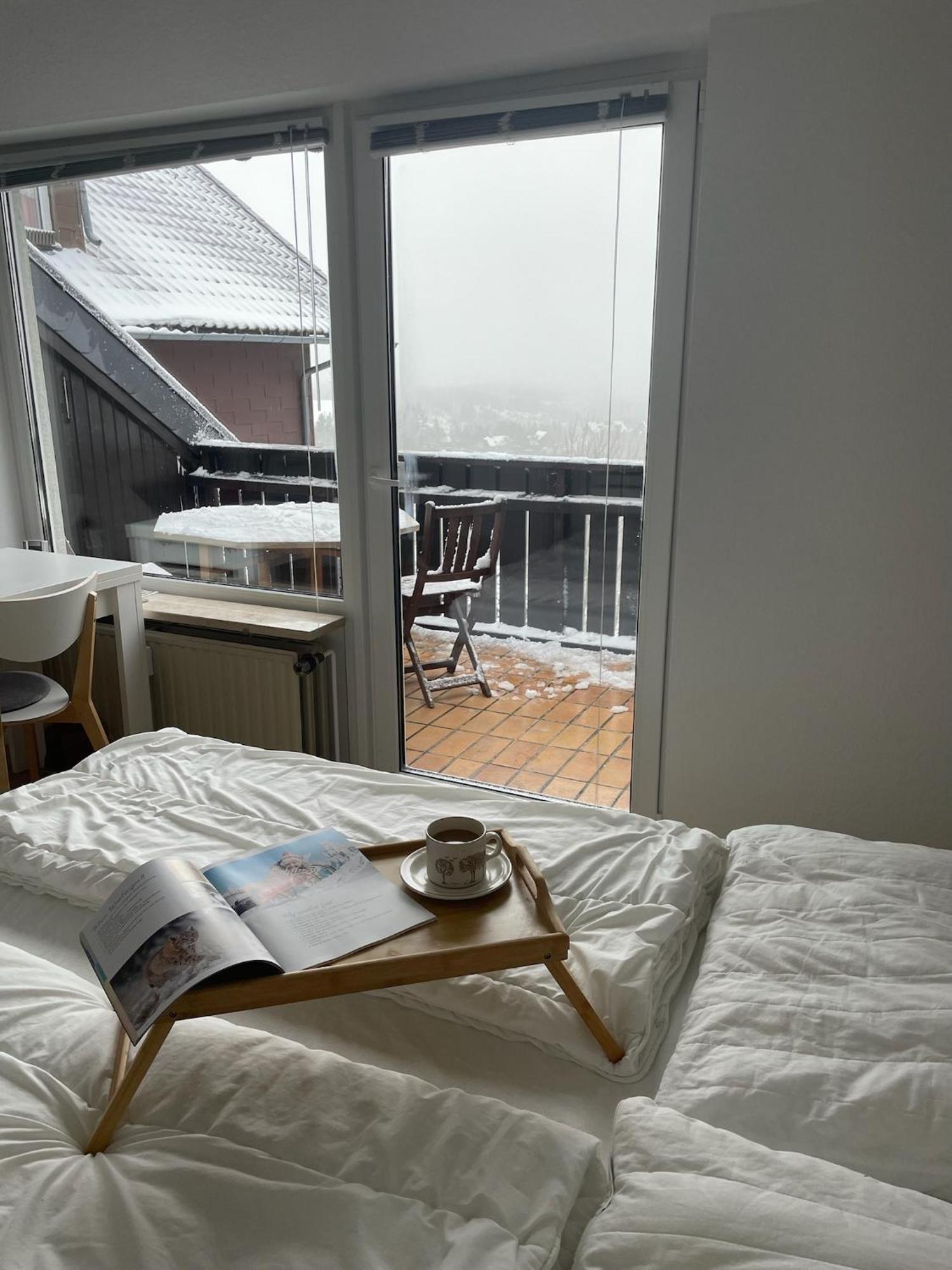 Gemütliche Ferienwohnung Harz Braunlage Hohegeiß Exterior foto